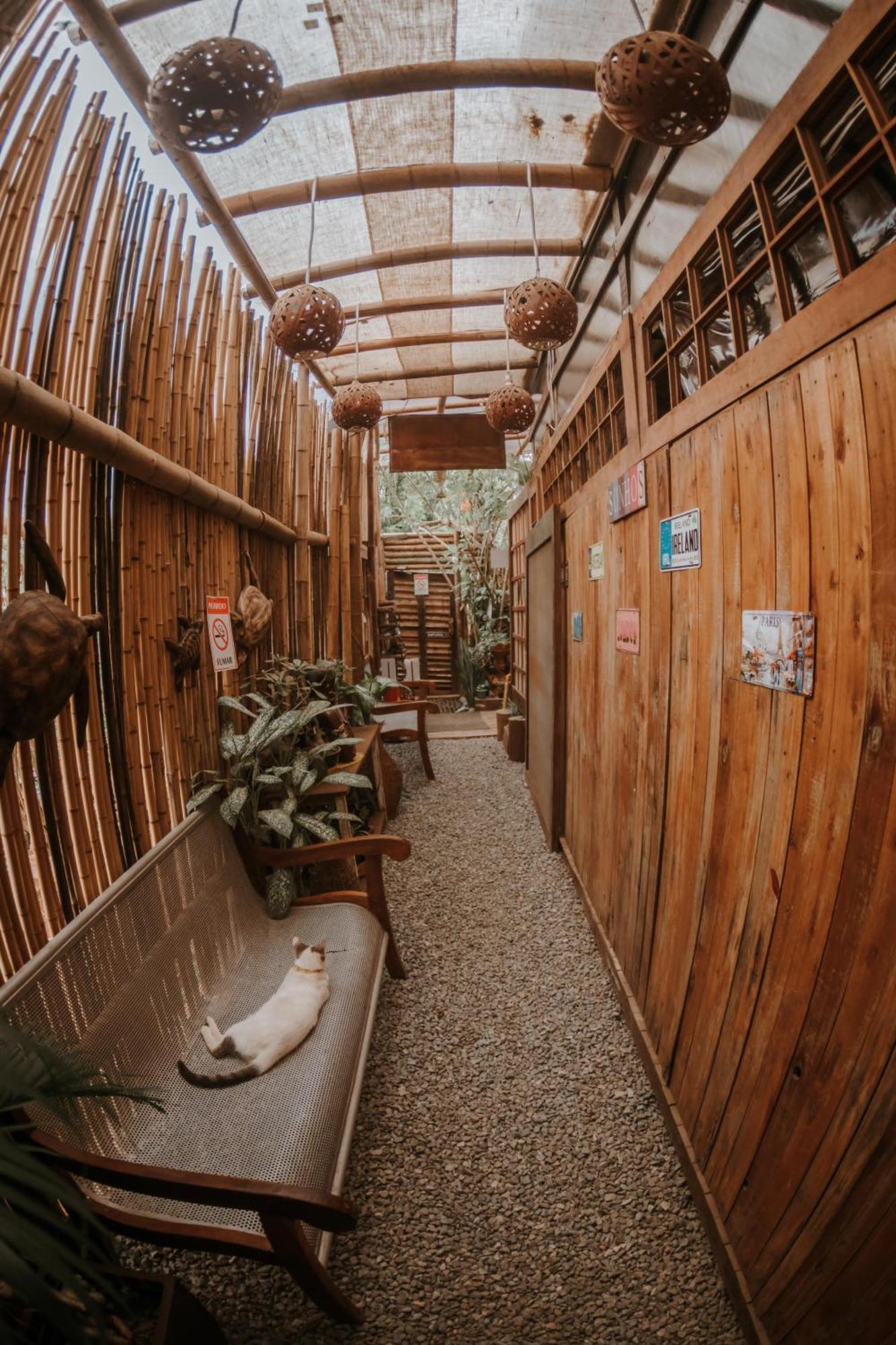 Doce Lar Hostel Noronha 페르난도데노롱야 외부 사진